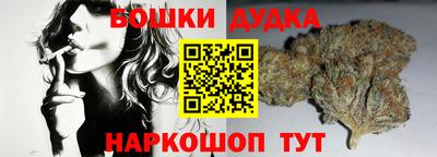 стаф Брянск